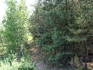 Wanderweg am See