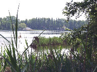 Seeblick