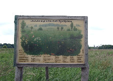 Naturtafel