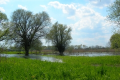 Bild 068