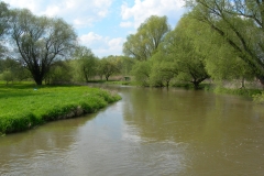Bild 073