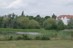 aue