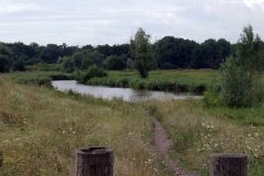 stille_elster