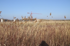 DSCF0157