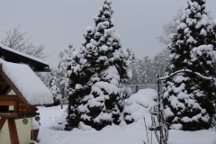 Winter 2013