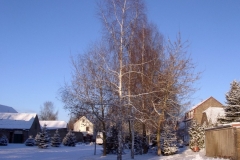 verschneites_dorf